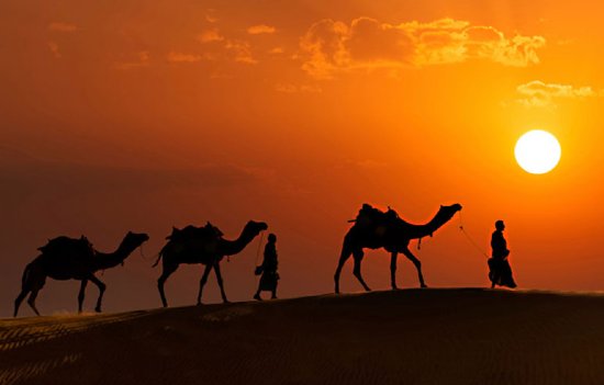 India Rajasthan Tour Packages